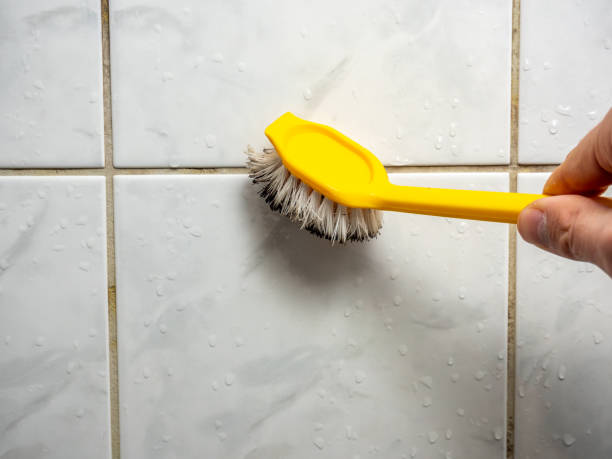 Best Professional Mold Removal  in Dennis Port, MA